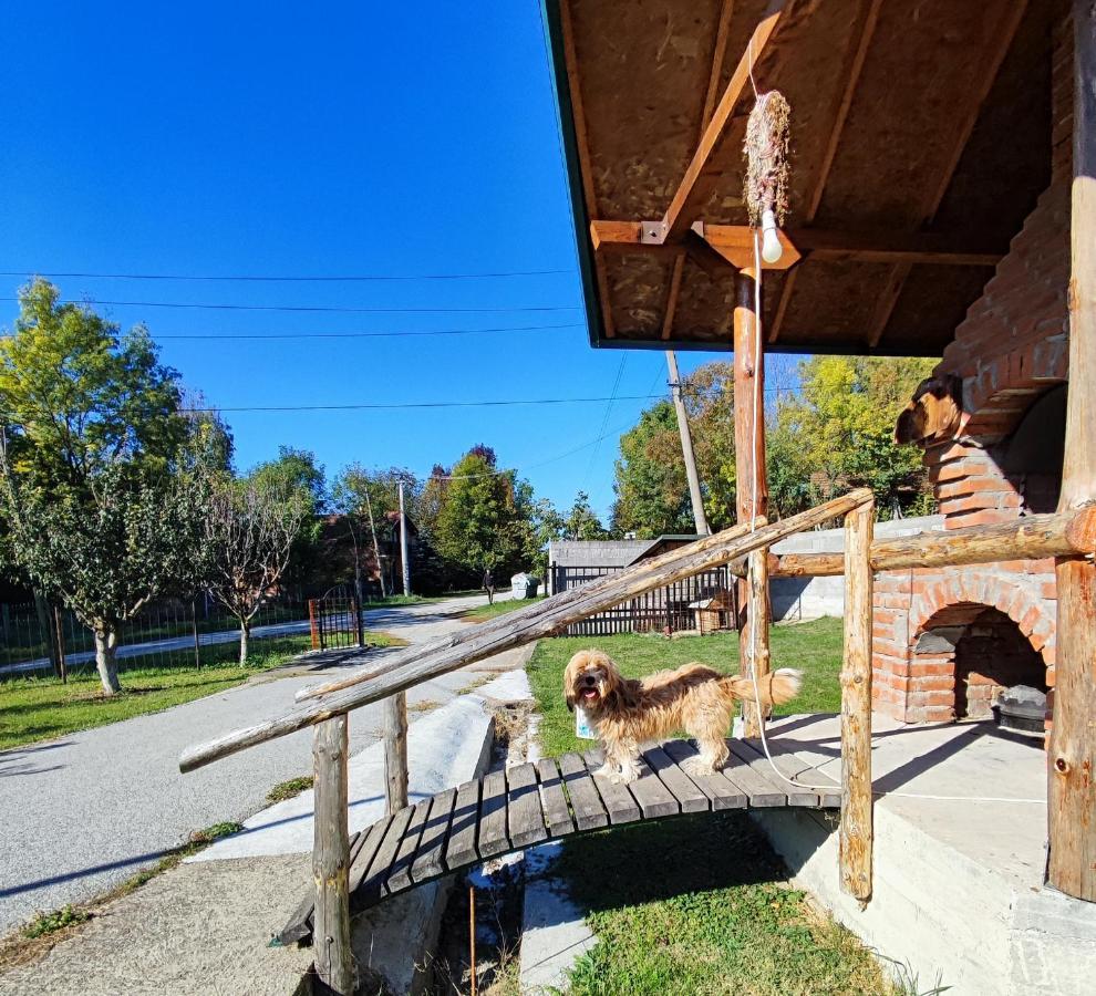 Apartamento Gazdinstvo Vuksanovic Despotovac Exterior foto